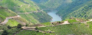 Ribeira Sacra